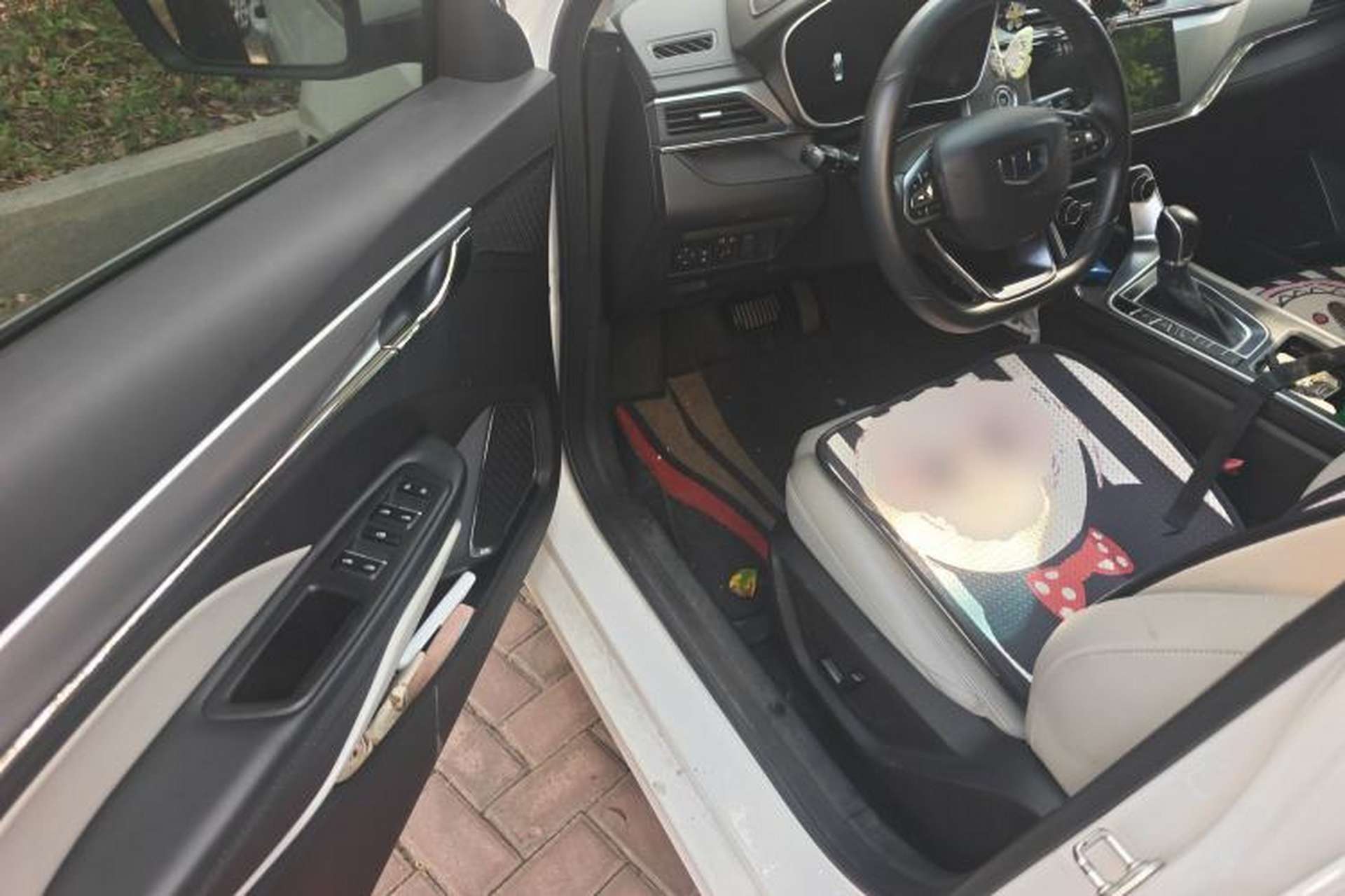 Used Geely Auto Binray 2018 14T CVT Binyi Edition Driver Seat