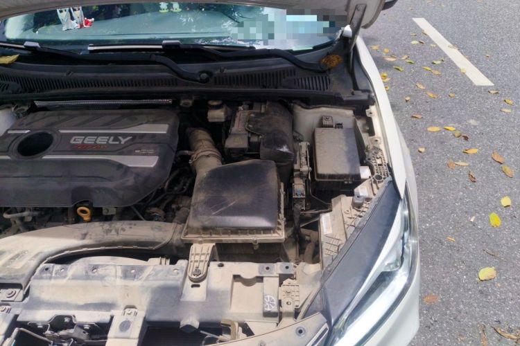 Used Geely Auto Binray 2018 14T CVT Binyi Edition Engine Bay Left