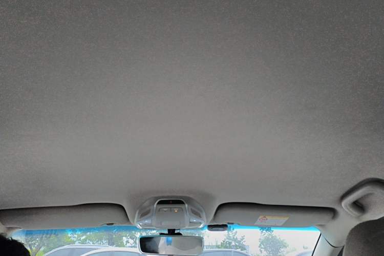 Used Geely Auto Binray 2018 14T CVT Colorful Edition Headliner