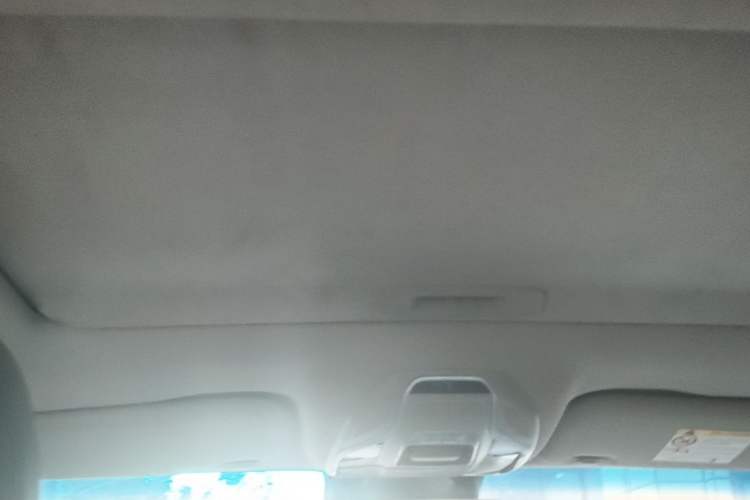 Used Geely Auto Binray 2018 14T Manual Binzhi Edition Headliner