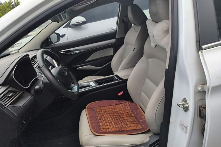 Used Geely Auto Binray 2018 14T CVT Colorful Edition Left Front Seat