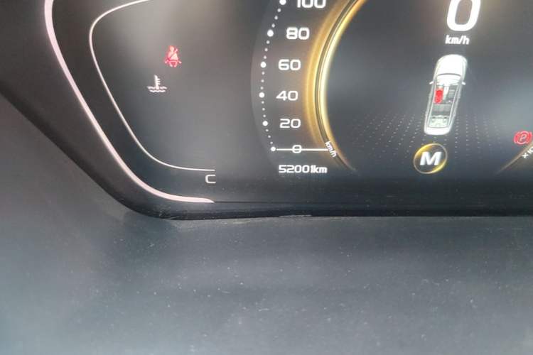 Used Geely Auto Binray 2018 14T Manual Binzhi Edition Odometer Close Up
