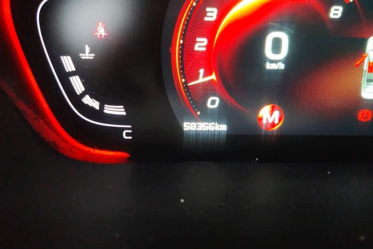 Used Geely Auto Binray 2018 14T Manual Binzhi Edition Odometer Close Up