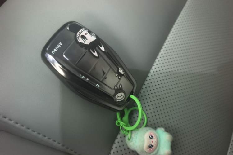 Used Geely Auto Binray 2018 14T CVT Binyi Edition Vehicle Key