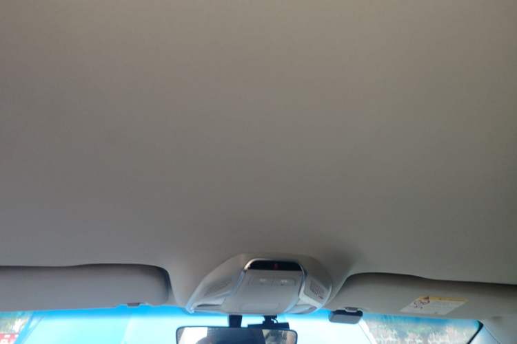 Used Geely Auto Binray 2019 200T Manual Binchi Edition Headliner