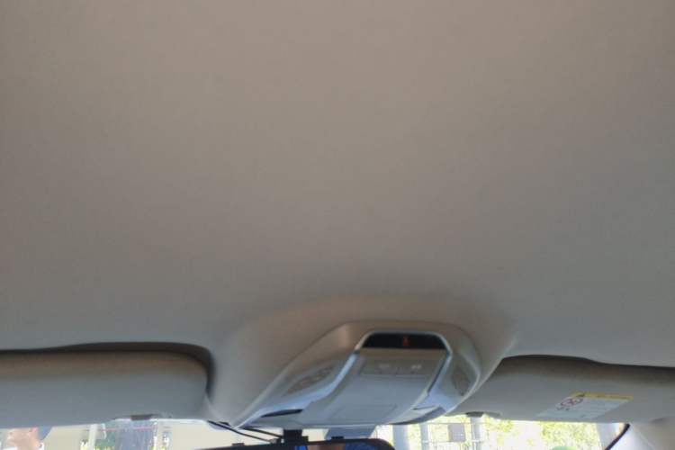 Used Geely Auto Binray 2019 200T DCT Binchi Edition Headliner