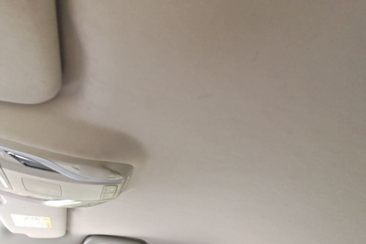 Used Geely Auto Binray 2019 200T Manual Binchi Edition Headliner