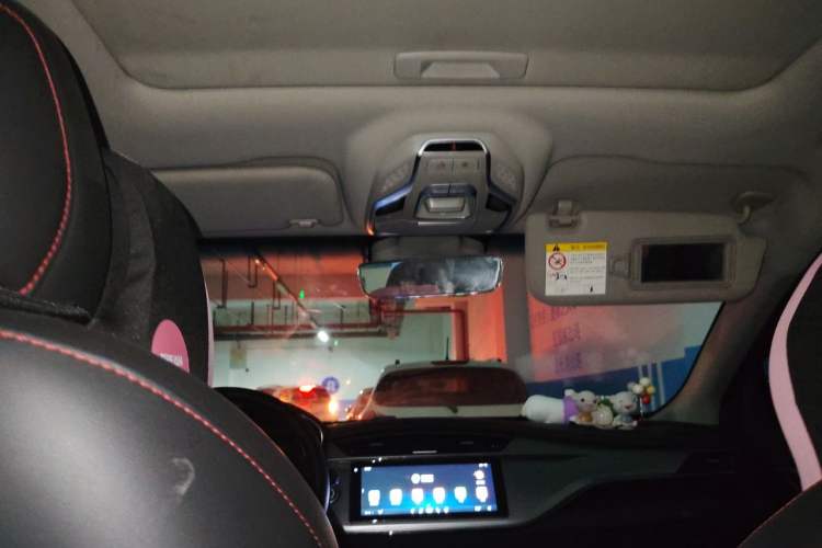 Used Geely Auto Binray 2019 200T DCT Binzhi Edition Headliner