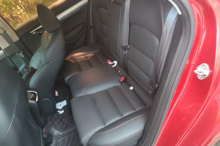 Used Geely Auto Binray 2019 200T DCT Binchi Edition Left Rear Seat