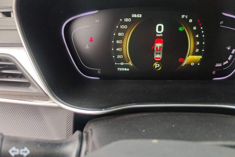 Used Geely Auto Binray 2019 200T DCT Brilliant Edition Odometer Close Up