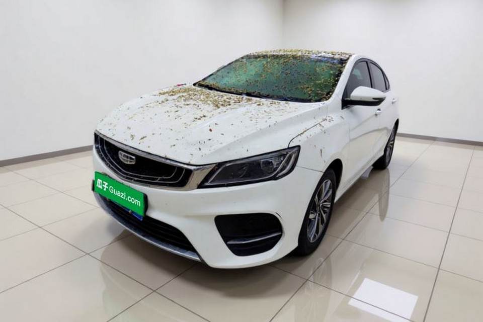 Geely Auto Binray 2019