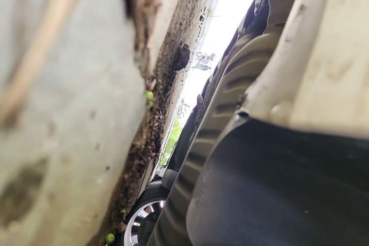 Used Geely Auto Binray 2019 200T DCT Binzhi Edition Chassis Rear