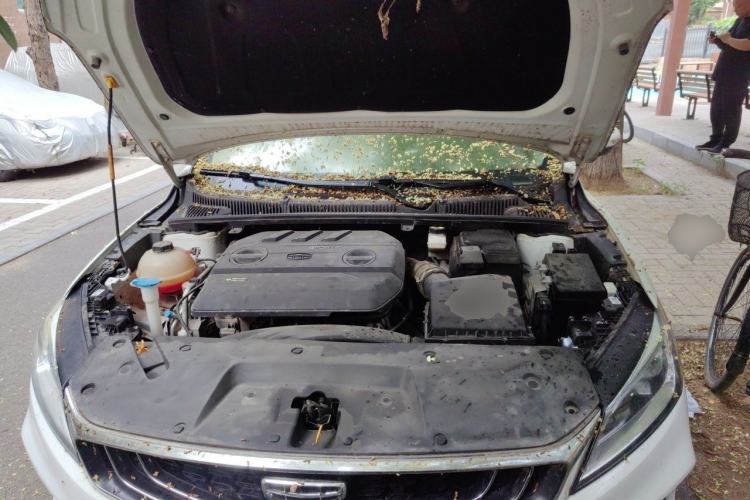 Used Geely Auto Binray 2019 200T DCT Asian Games Edition Engine Bay