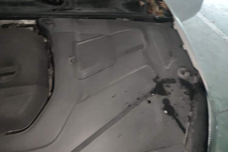 Used Geely Auto Binray 2019 200T DCT Binzhi Edition Engine Bay Left