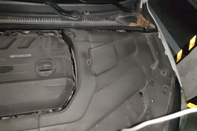 Used Geely Auto Binray 2019 200T DCT Binzhi Edition Engine Bay Left