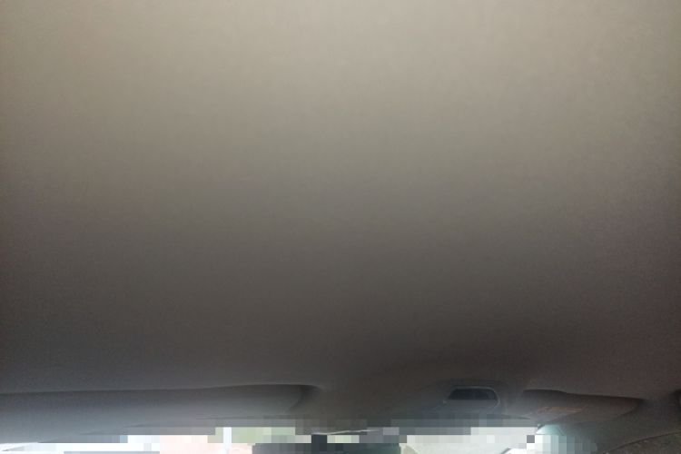 Used Geely Auto Binray 2019 200T Manual Binchi Edition Headliner