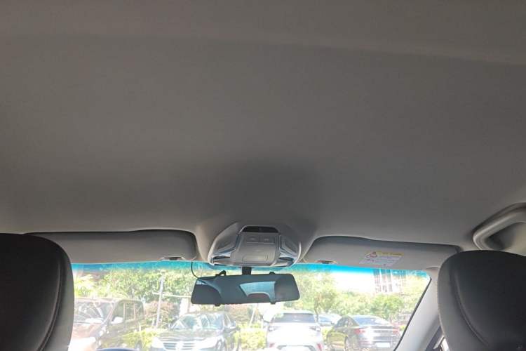 Used Geely Auto Binray 2019 200T DCT Binchi Edition Headliner