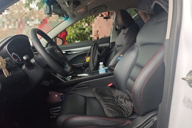 Used Geely Auto Binray 2019 200T DCT Binchi Edition Left Front Seat