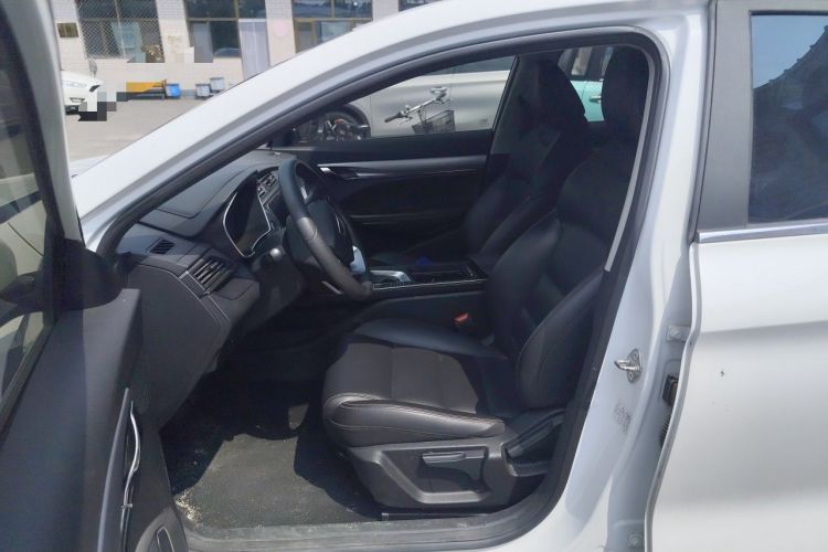 Used Geely Auto Binray 2019 200T DCT Binchi Edition Left Front Seat
