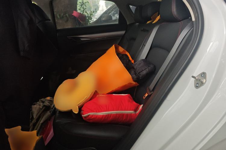 Used Geely Auto Binray 2019 200T DCT Binchi Edition Left Rear Seat