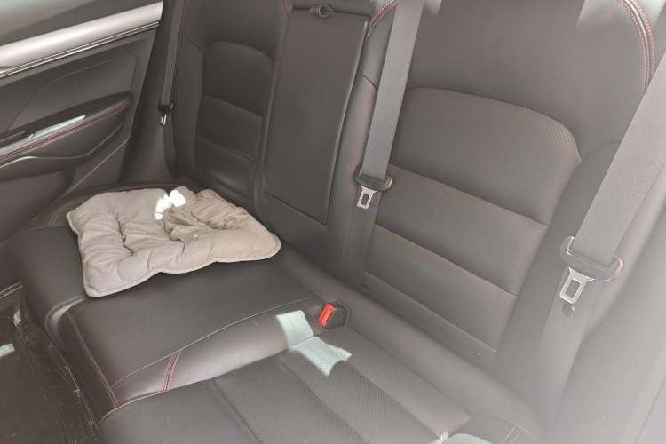 Used Geely Auto Binray 2019 200T Manual Binchi Edition Left Rear Seat