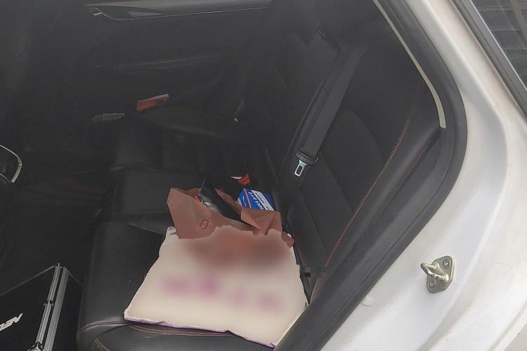 Used Geely Auto Binray 2019 200T DCT Binchi Edition Left Rear Seat
