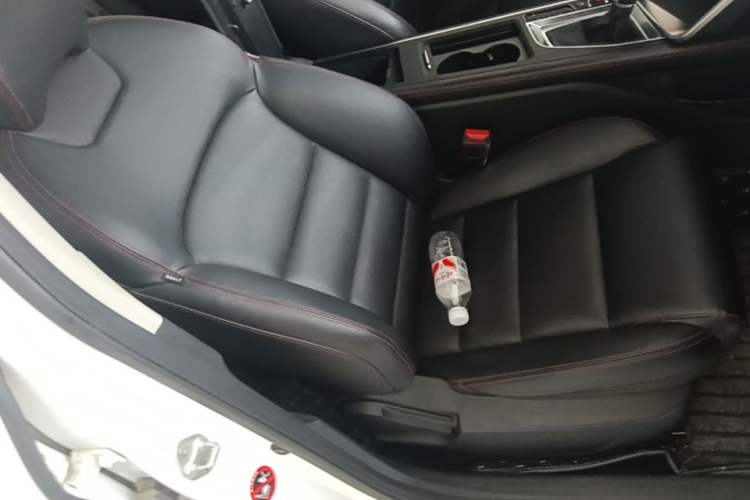 Used Geely Auto Binray 2019 200T DCT Binchi Edition Right Front Seat