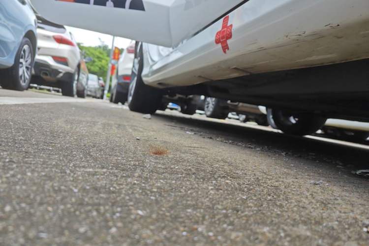 Used Geely Auto Binray 2019 200T DCT Binzhi Edition Right Side Sill