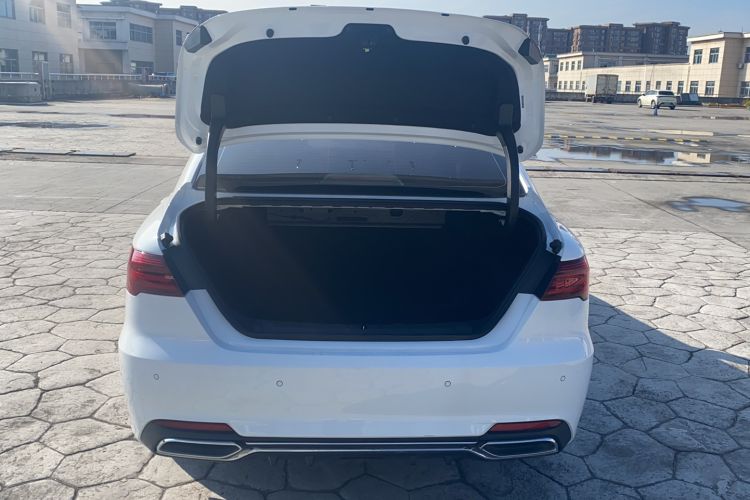 Used Geely Auto Binray 2019 200T Manual Binchi Edition Trunk