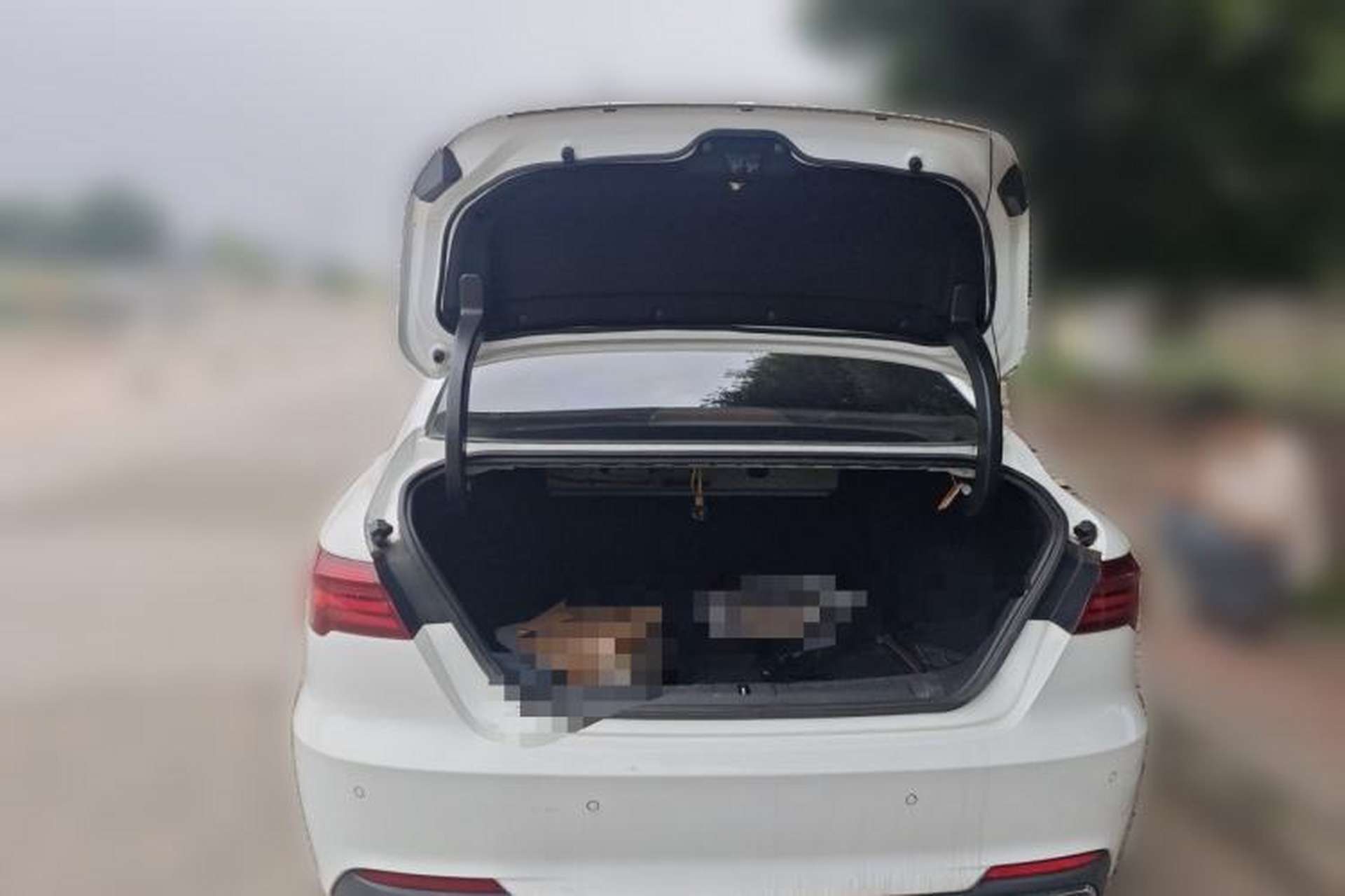 Used Geely Auto Binray 2019 200T Manual Binchi Edition Trunk