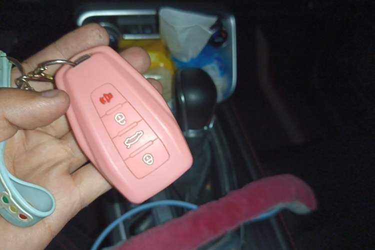 Used Geely Auto Binray 2019 200T DCT Binzhi Edition Vehicle Key