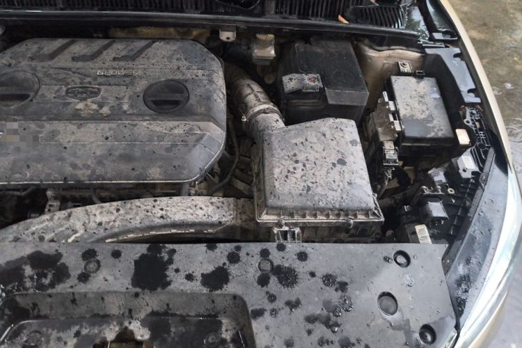 Used Geely Auto Binray 2019 200T DCT Binchi Edition Engine Bay Left