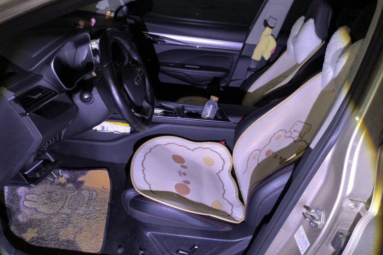 Used Geely Auto Binray 2019 200T DCT Binzhi Edition Left Front Seat