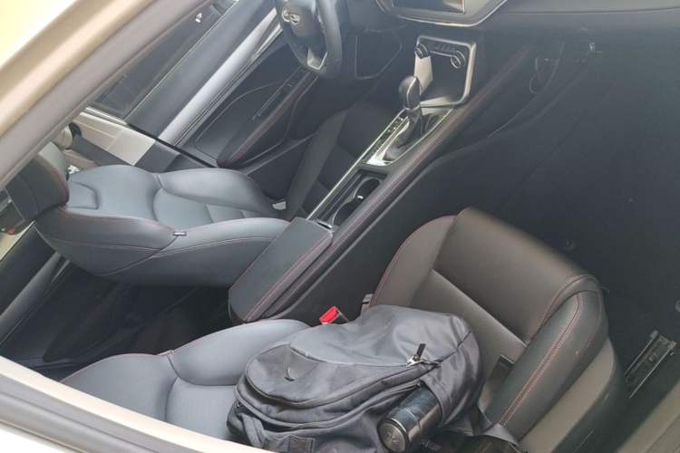 Used Geely Auto Binray 2019 200T DCT Binchi Edition Right Front Seat