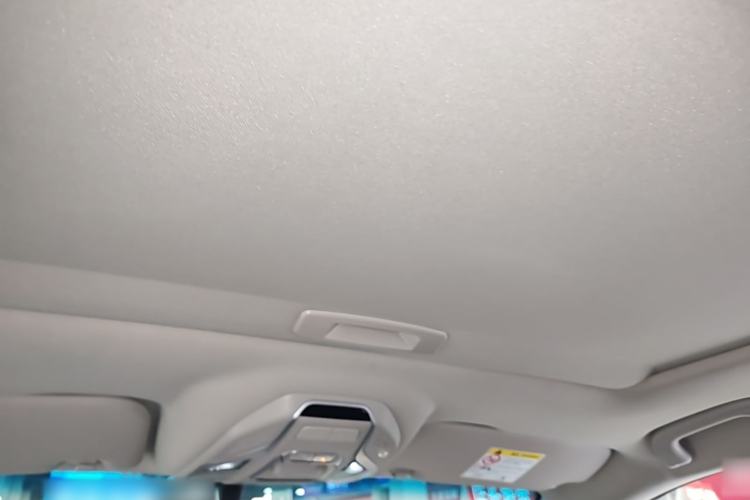Used Geely Auto Binray 2020 1.4T CVT Luxury Model Headliner