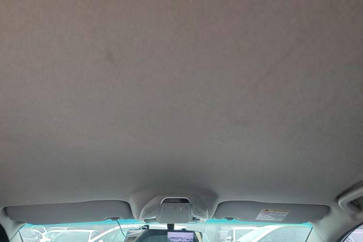 Used Geely Auto Binray 2020 1.4T CVT Luxury Model Headliner