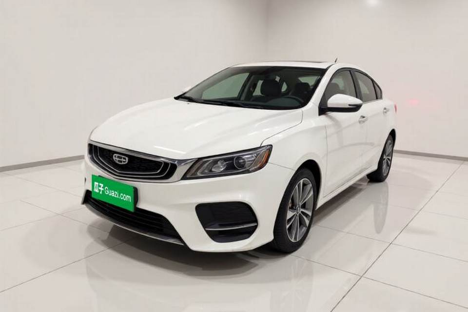 Geely Auto Binray 2020