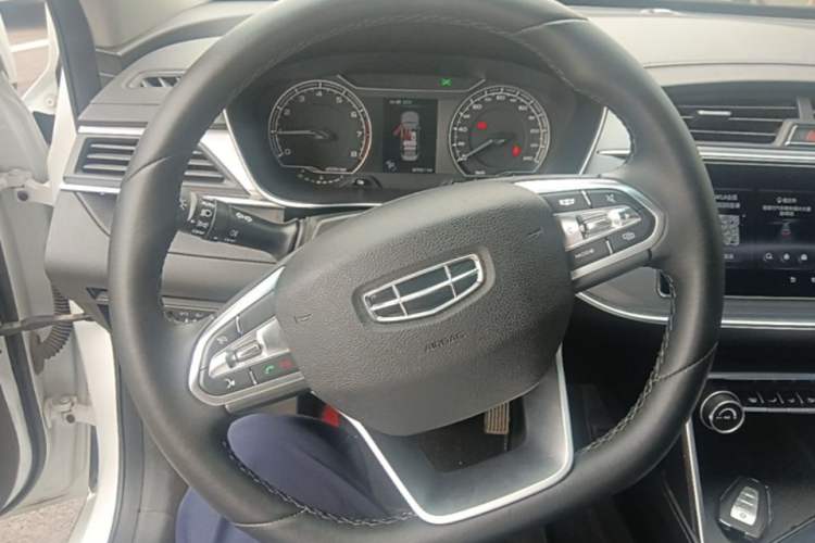 Used Geely Auto Binray 2020 200T DCT Comfort Version Steering Wheel