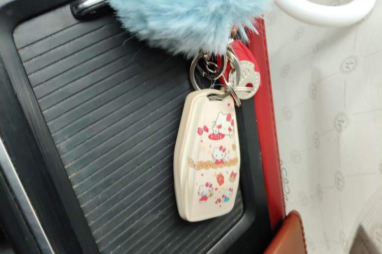 Used Geely Auto Binray 2021 1.4T CVT F-Sport Edition Vehicle Key