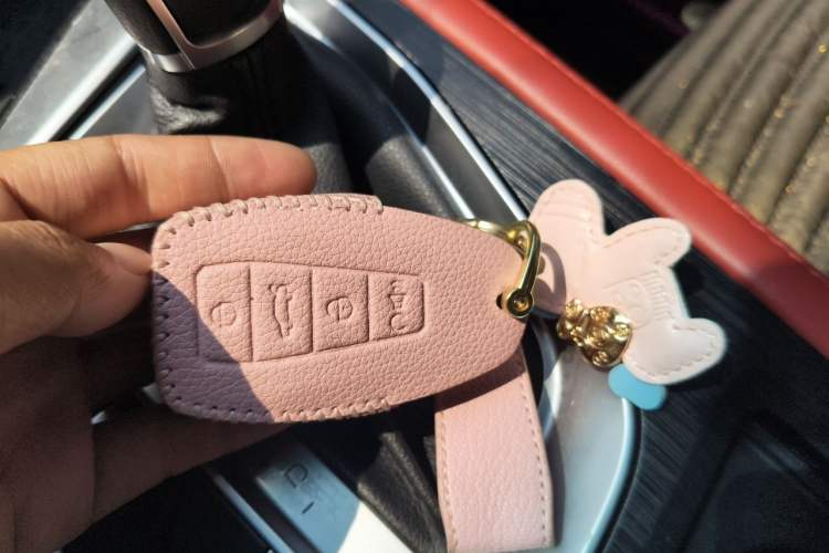 Used Geely Auto Binray  Vehicle Key