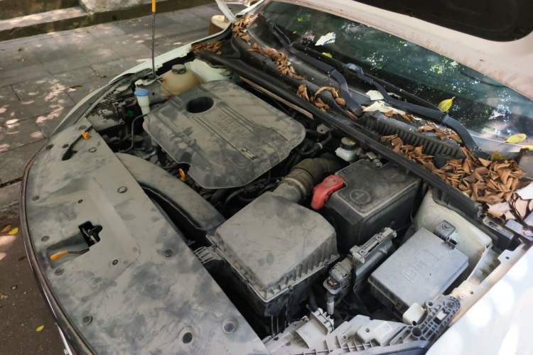 Used Geely Auto Binray 2021 1.4T CVT F-Sport Edition Engine Bay Left