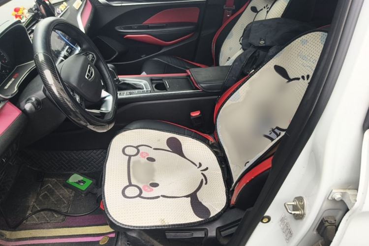 Used Geely Auto Binray 2021 1.4T CVT F-Sport Edition Left Front Seat