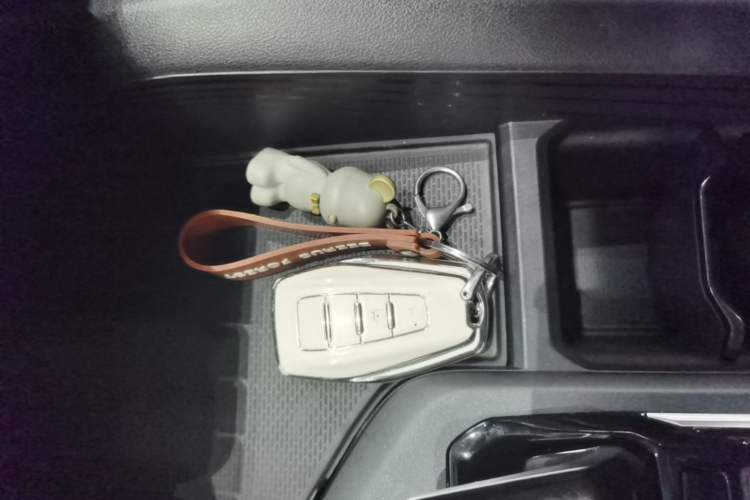 Used Geely Auto Binray 2022 Binrui COOL 1.5T DCT Electric Edition Vehicle Key