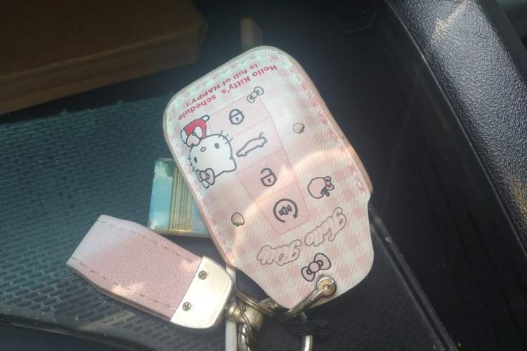 Used Geely Auto Binray 2022 Binrui COOL 1.5T DCT Electric Edition Vehicle Key