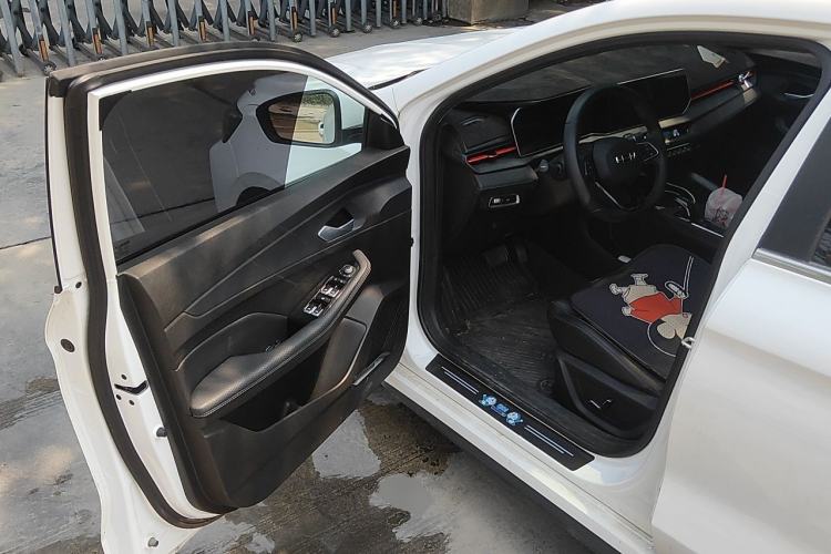 Used Geely Auto Binray 2022 Binrui COOL 1.5T DCT Electric Edition Driver Seat