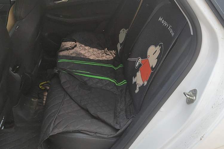 Used Geely Auto Binray 2022 Binrui COOL 1.5T DCT Electric Edition Left Rear Seat
