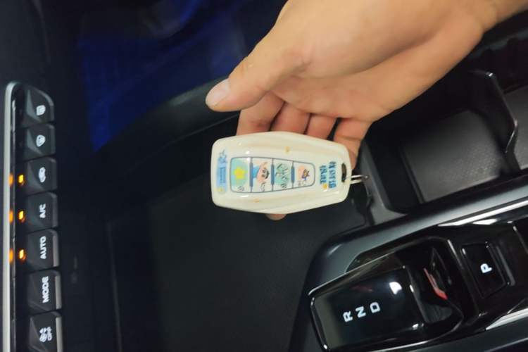Used Geely Auto Binray 2022 Binrui COOL 1.5T DCT Electric Edition Vehicle Key