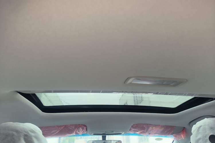 Used Geely Auto Binray 2024 Binrui COOL 1.5T DCT Longteng Edition Headliner