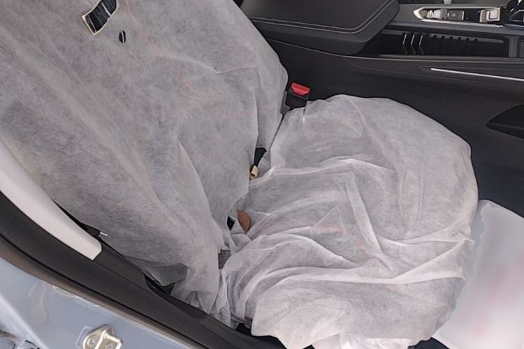 Used Geely Auto Binray 2024 Binrui COOL 1.5T DCT Longteng Edition Right Front Seat