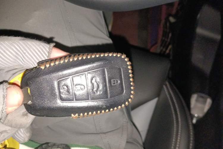 Used Geely Auto Binray 2024 Binrui COOL 1.5T DCT Champion Edition Vehicle Key